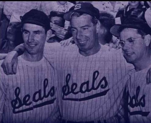 Dimaggio Brothers